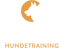 Cosmonaut logo